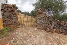 Cañaveral de León 10000&nbsp;m²