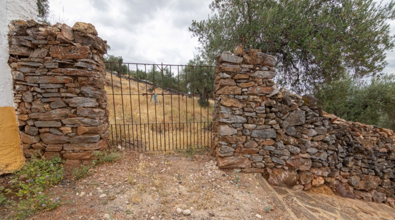 Huelva - Cañaveral de León - 10000m2