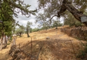 Finca rústica en venta en la España, Cañaveral de León, ref: TR308067 foto