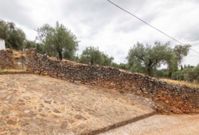 Cañaveral de León 10000&nbsp;m²