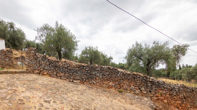 Huelva - Cañaveral de León - 10000m2