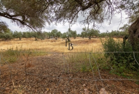 Cañaveral de León 10000&nbsp;m²