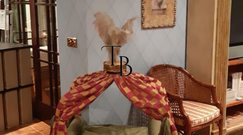 Sevilla - Guillena - 504m2
