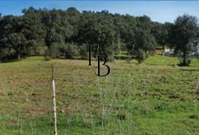San Nicolás del Puerto 23040&nbsp;m² 