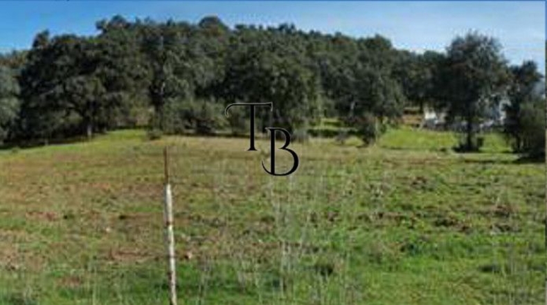 Севилья - San Nicolás del Puerto - 23040m2