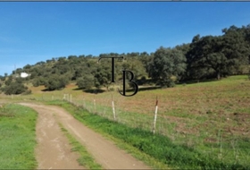 San Nicolás del Puerto 23040&nbsp;m² 