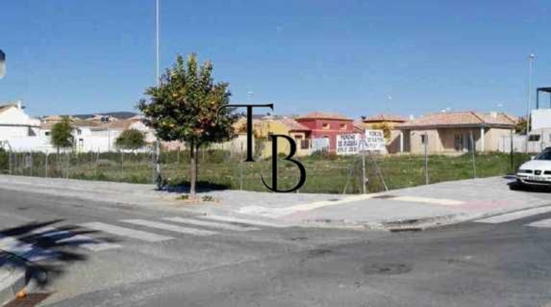 Sevilla - Burguillos - 1173m2