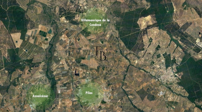 Sevilla - Villamanrique de la Condesa - 247m2