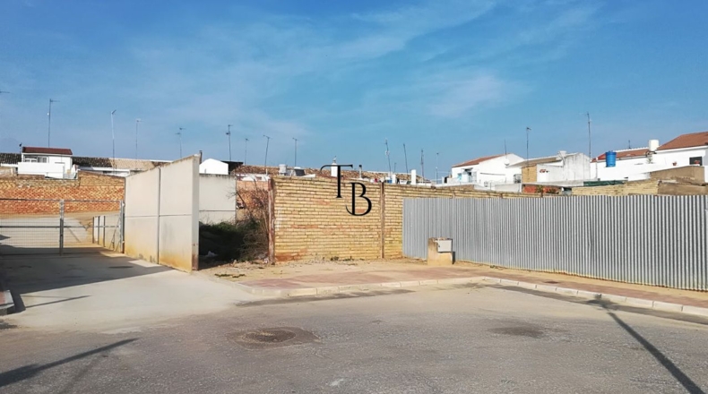 Sevilla - Villamanrique de la Condesa - 247m2