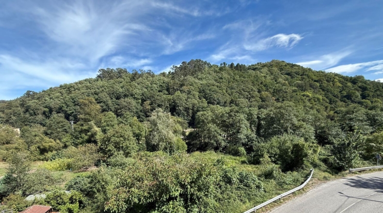 Asturias - Oviedo - 225m2