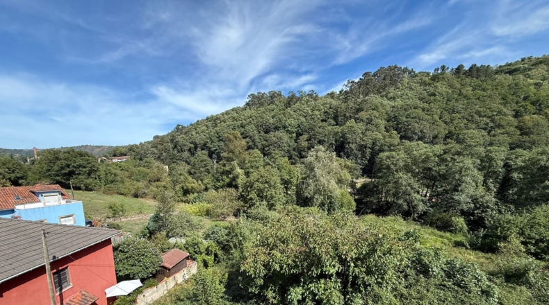 Asturias - Oviedo - 225m2