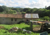 Detached villa with land for sale on España, Oviedo, ref: TR17834 photo