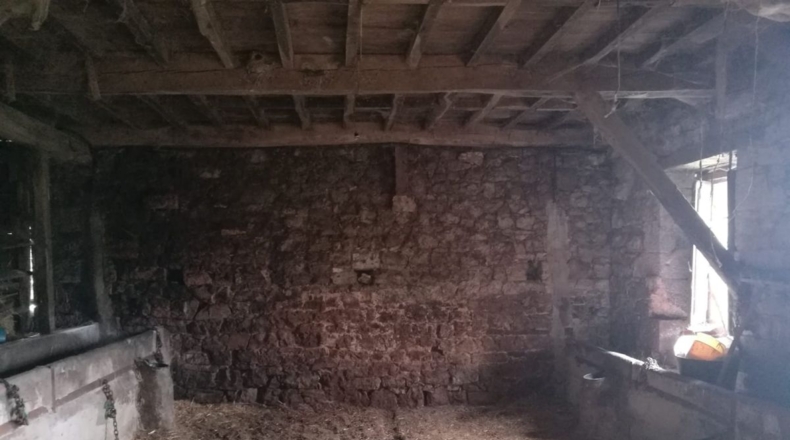 Asturias - Víu'l Picu - 9500m2