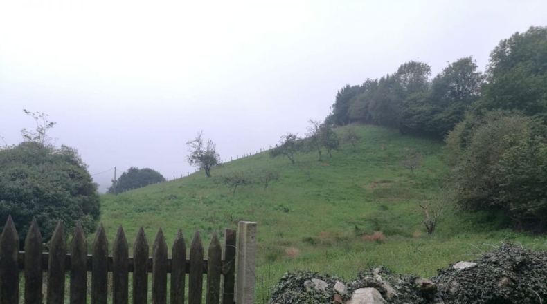 Asturias - Víu'l Picu - 9500m2