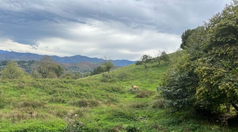 Asturias - Víu'l Picu - 9500m2