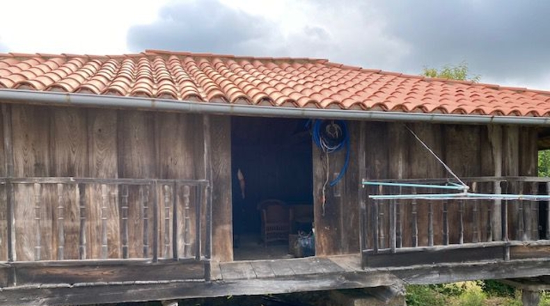 Asturias - El Pumar - 1100m2