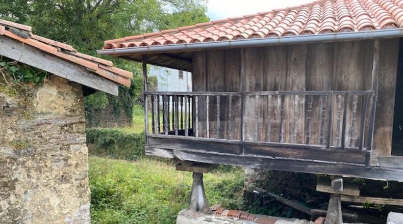 Asturias - El Pumar - 1100m2