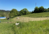 Sòl urbà en venda a Pola de Siero ref.: TR53278 foto