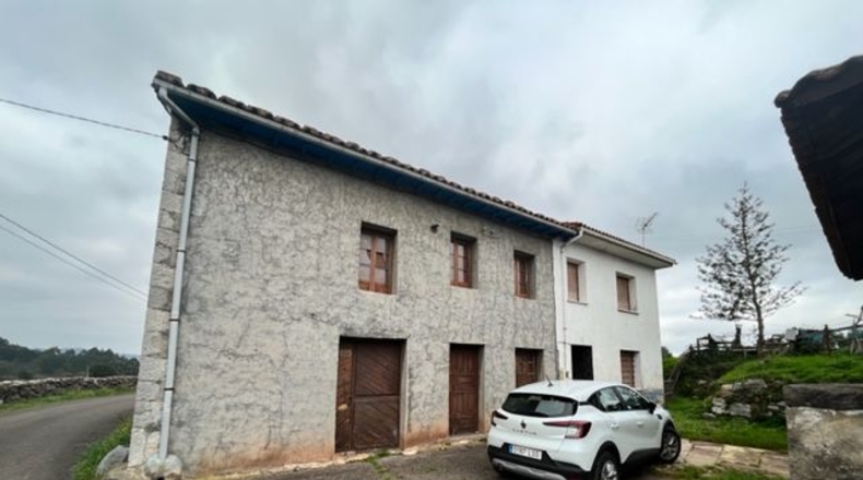 Astúries - Noval - 80000m2