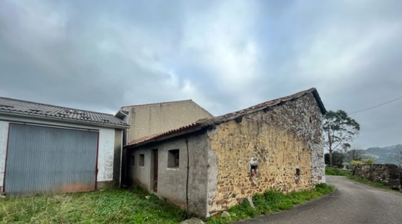 Astúries - Noval - 80000m2