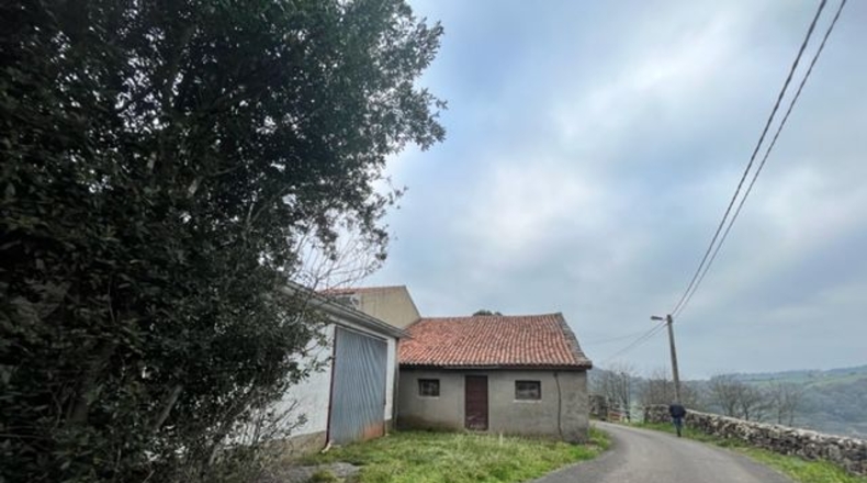 Astúries - Noval - 80000m2