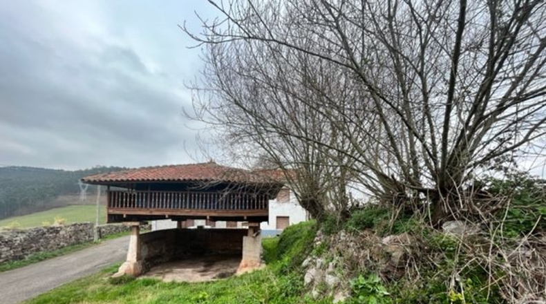 Astúries - Noval - 80000m2