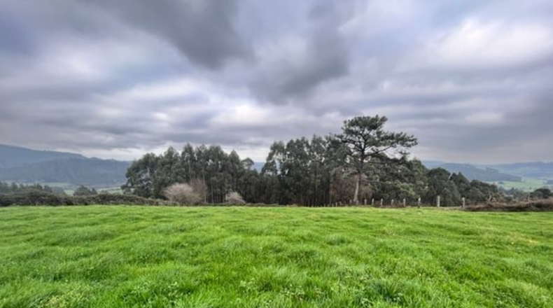 Astúries - Noval - 80000m2