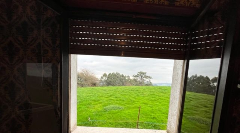 Astúries - Noval - 80000m2
