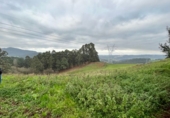 Finca rústica en venta en Posada de Llanera ref: TR102907 foto
