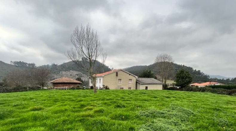 Astúries - Noval - 80000m2