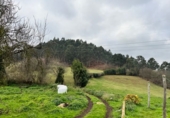 Finca rústica en venta en Posada de Llanera ref: TR102907 foto