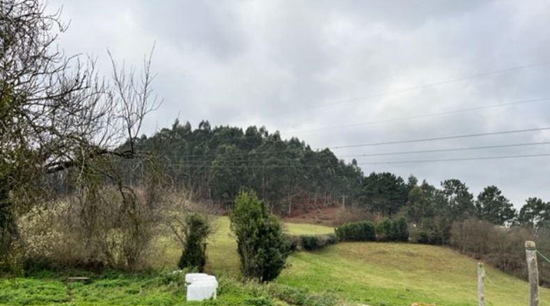 Astúries - Noval - 80000m2