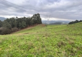 Finca rústica en venta en Posada de Llanera ref: TR102907 foto