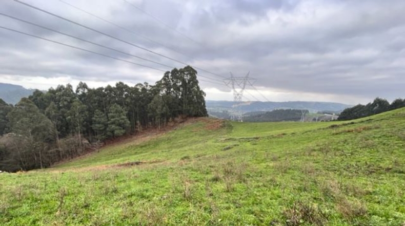 Astúries - Noval - 80000m2
