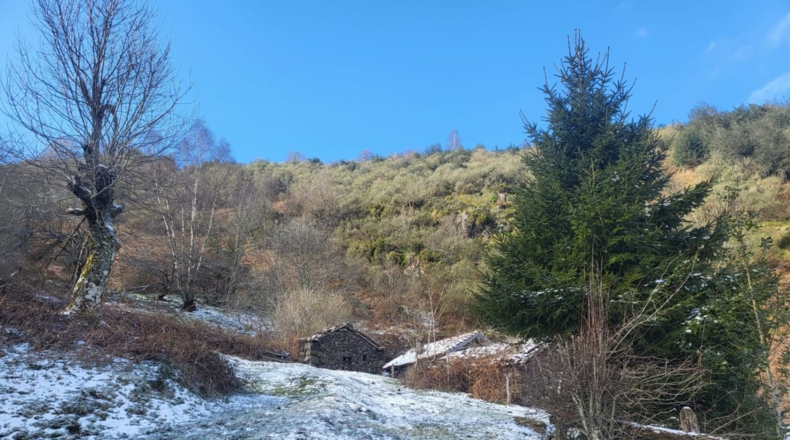 Asturias - Urria - 37m2