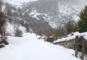 Casa de poble en venda a La Favorita ref.: TR185888 foto
