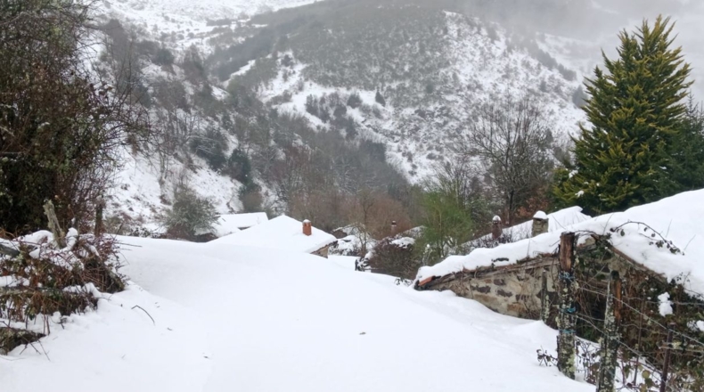 Asturias - Urria - 37m2