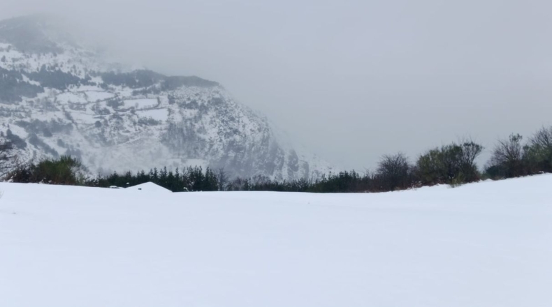 Asturias - Urria - 37m2