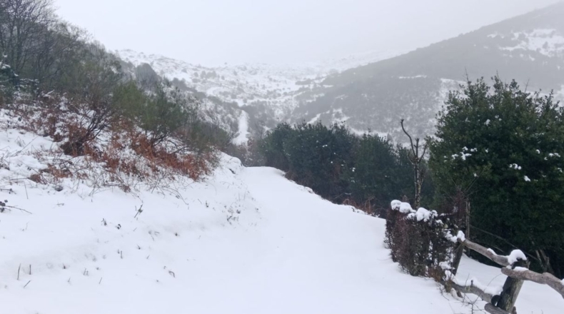Asturias - Urria - 37m2