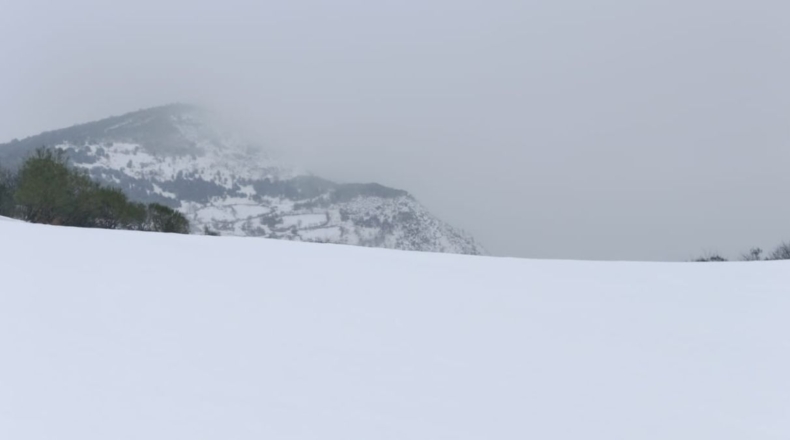 Asturias - Urria - 37m2