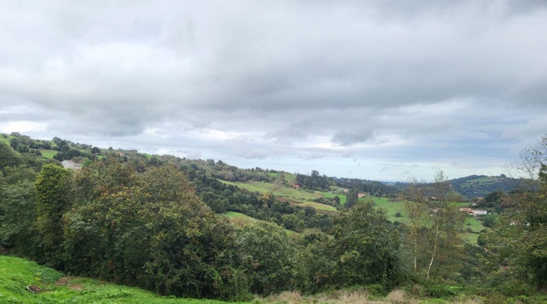 Astúries - Llameo - 8000m2