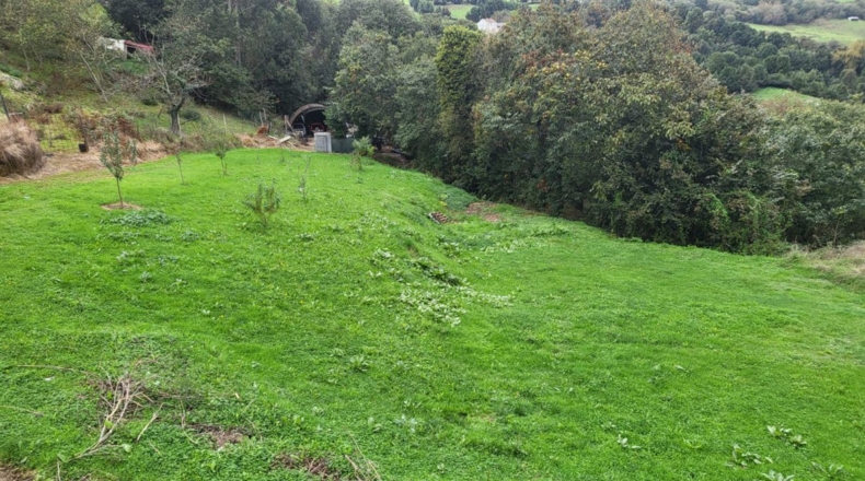 Astúries - Llameo - 8000m2