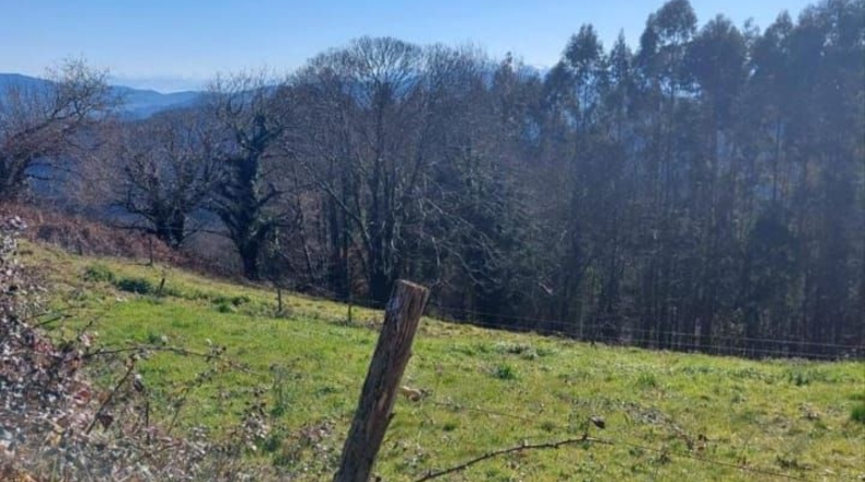 Asturias - Pravia - 1000m2