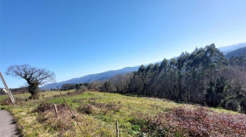 Asturias - Pravia - 1000m2