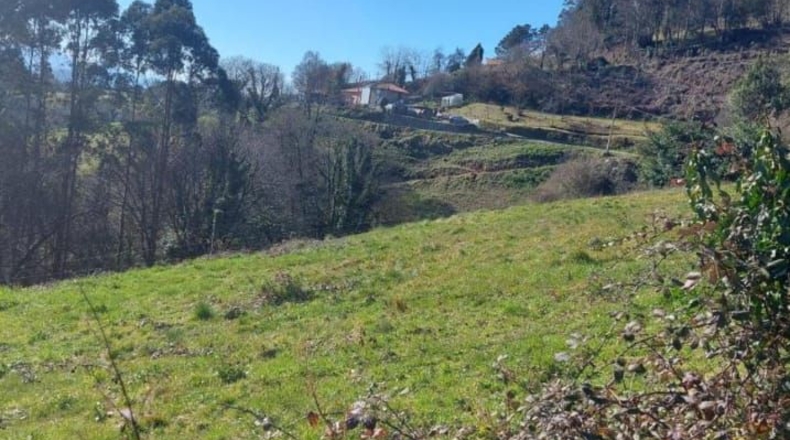 Asturias - Pravia - 1000m2
