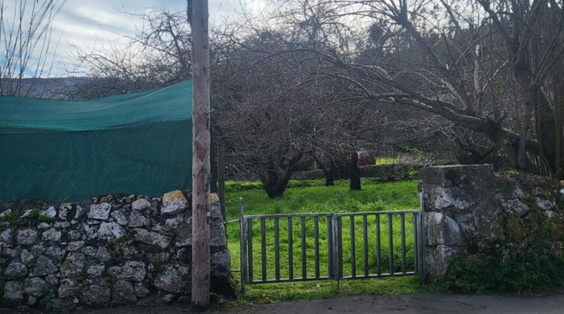 Asturias - Oviedo - 576m2