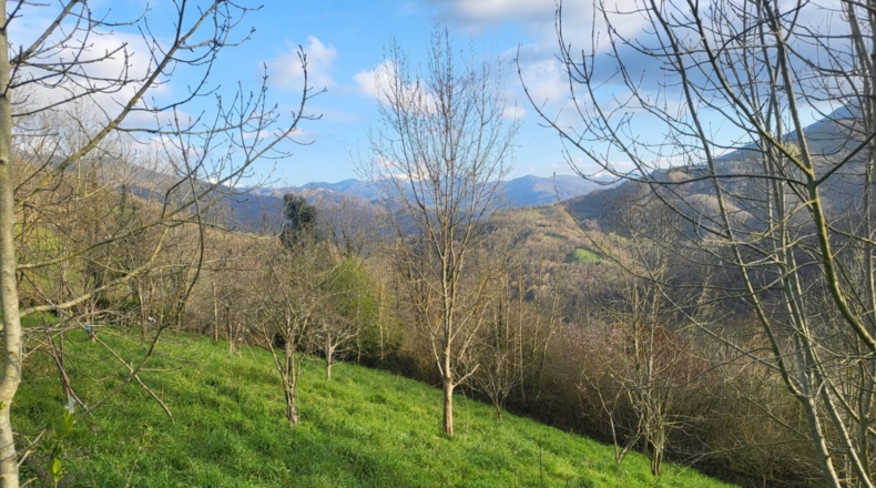 Asturias - Pola de Lena - 235m2