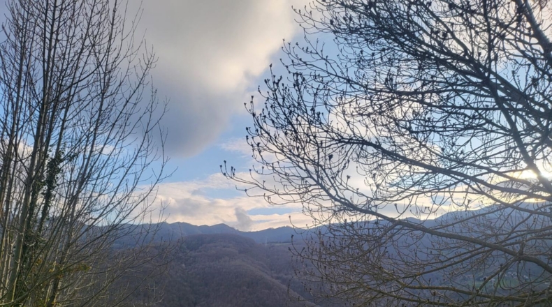 Asturias - Pola de Lena - 235m2