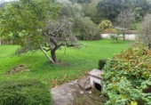Finca rústica en venda a la España, Grado, ref.: TR350059 foto