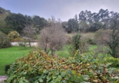 Finca rústica en venda a la España, Grado, ref.: TR350059 foto
